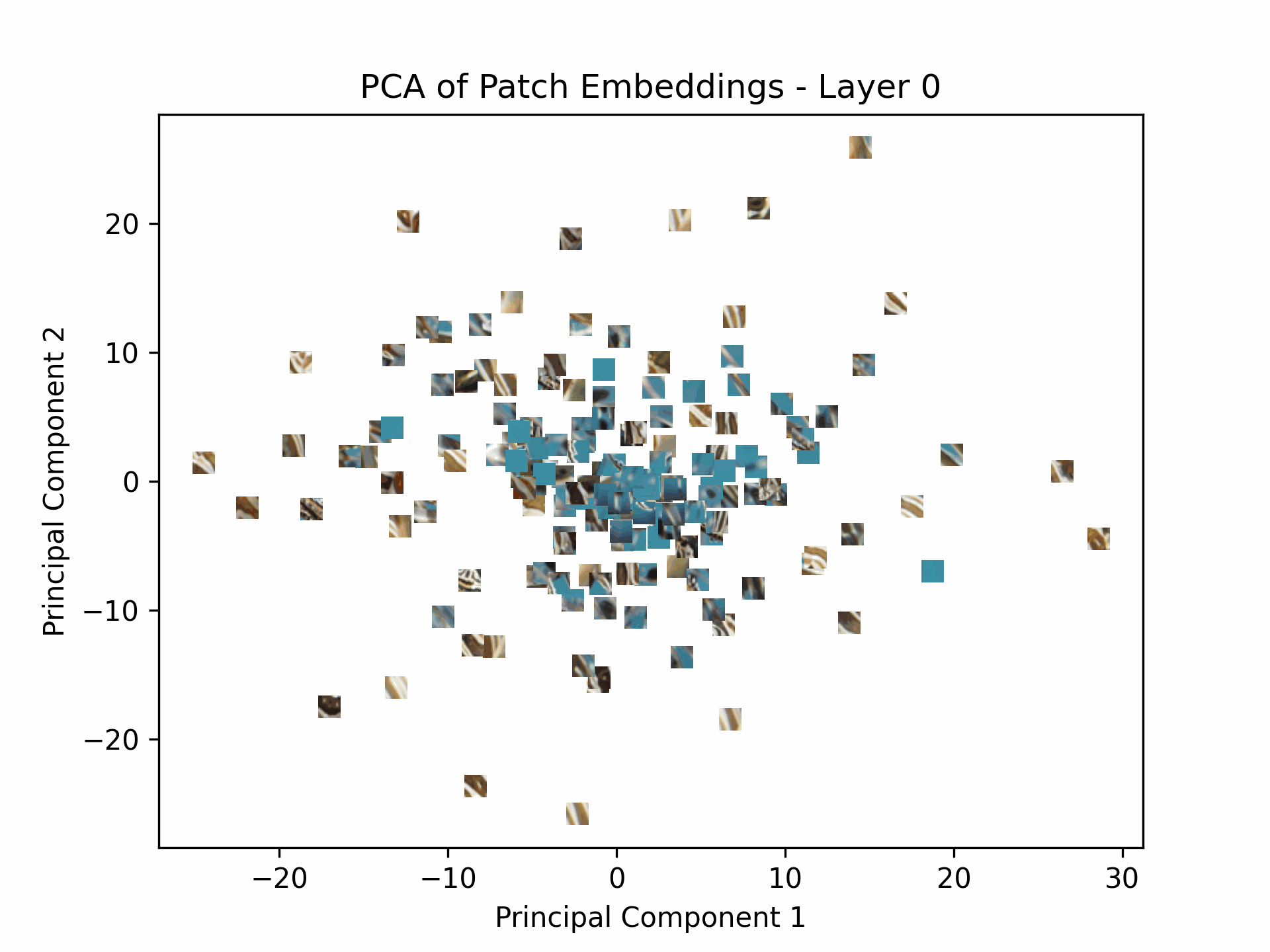 patch embeddings gif